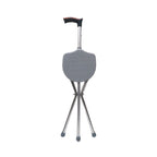 Flamingo Walking Stick with Seat